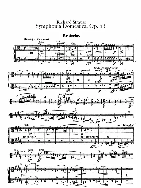 Violas