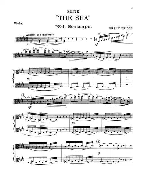Violas