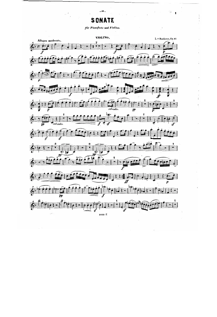 Violin