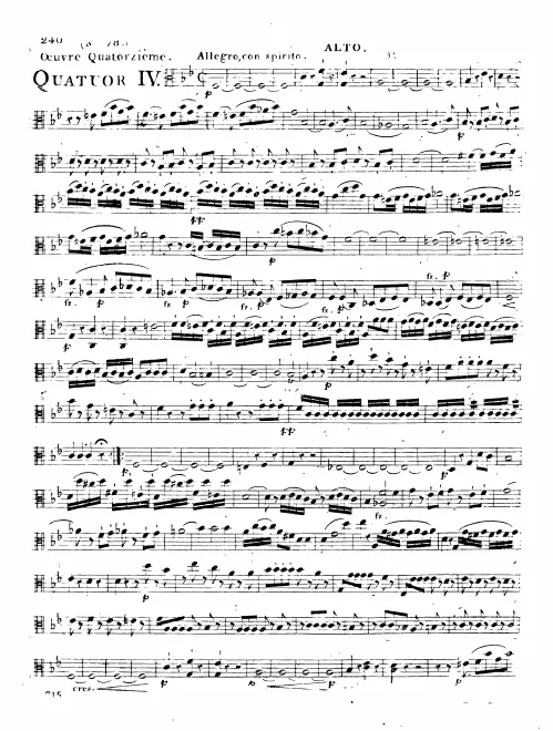 Viola