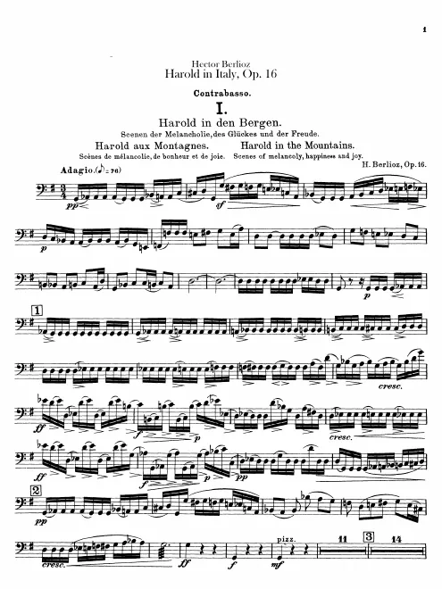 Basses
