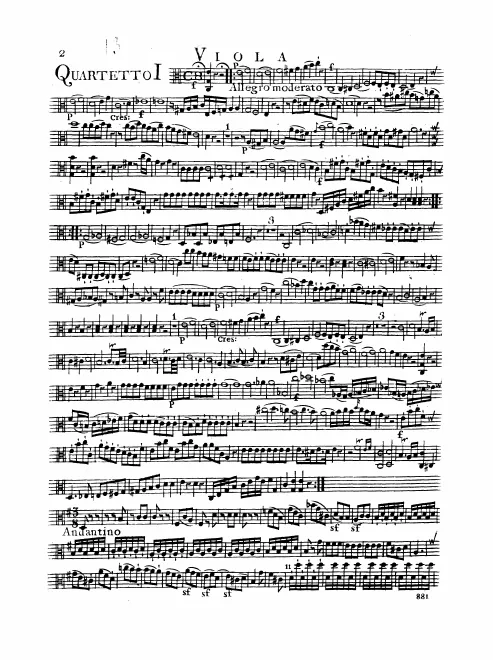 Viola