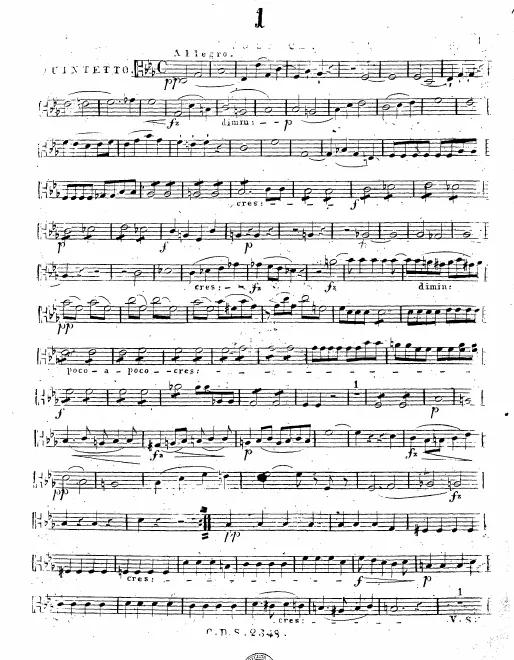 Viola 2