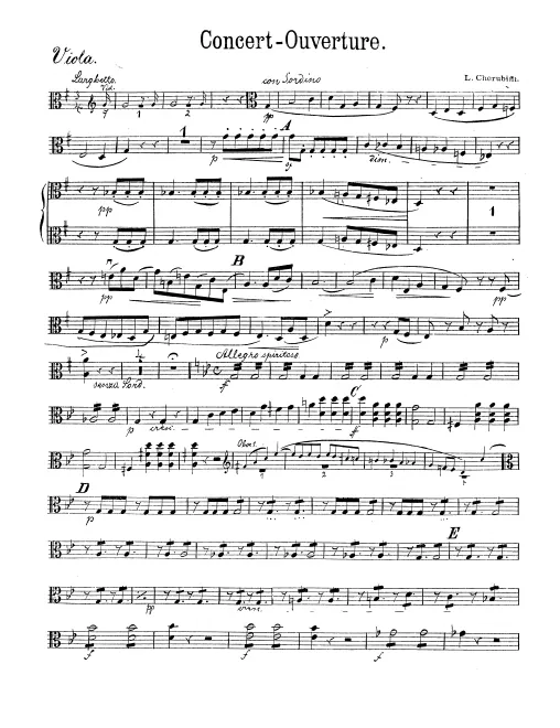 Violas