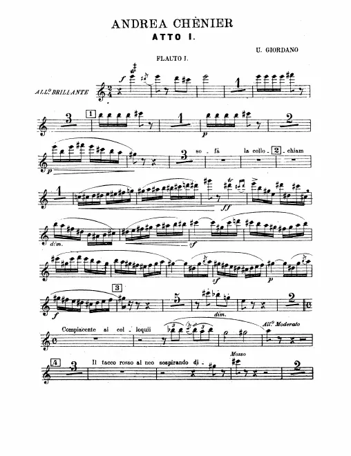 Flute 1