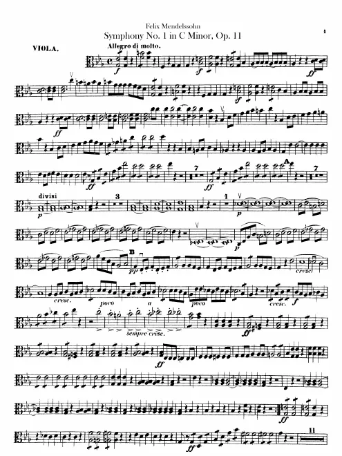 Violas