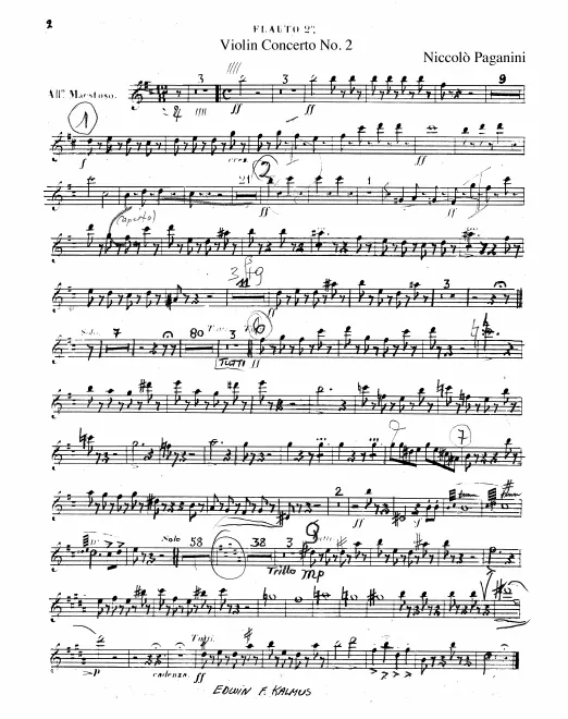 Flute 2