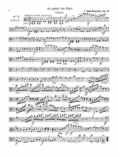 Violas
