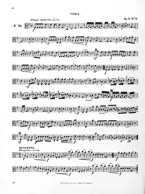 Viola