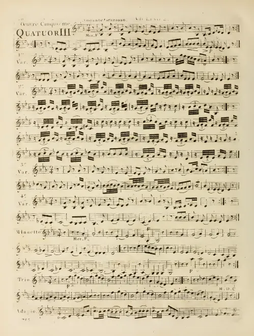 Violin 2