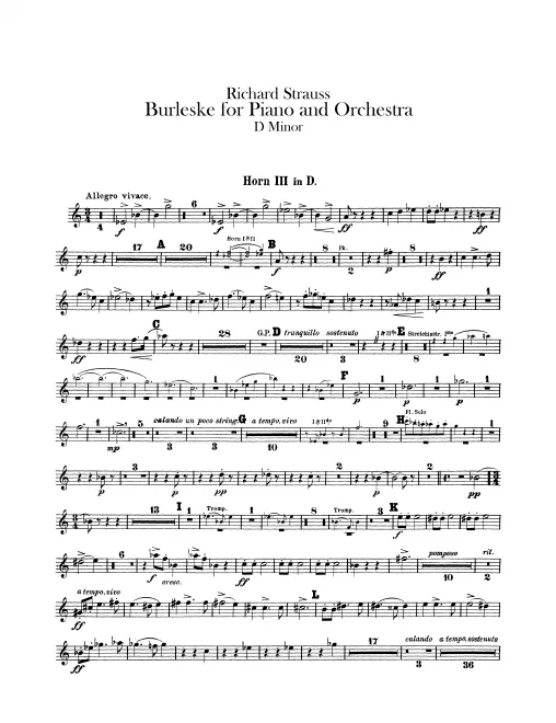 Horn 3 (D)