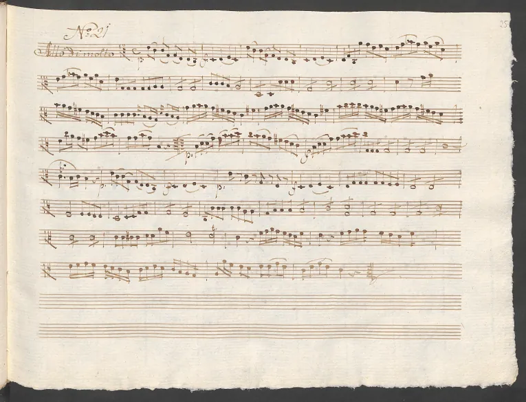 Viola