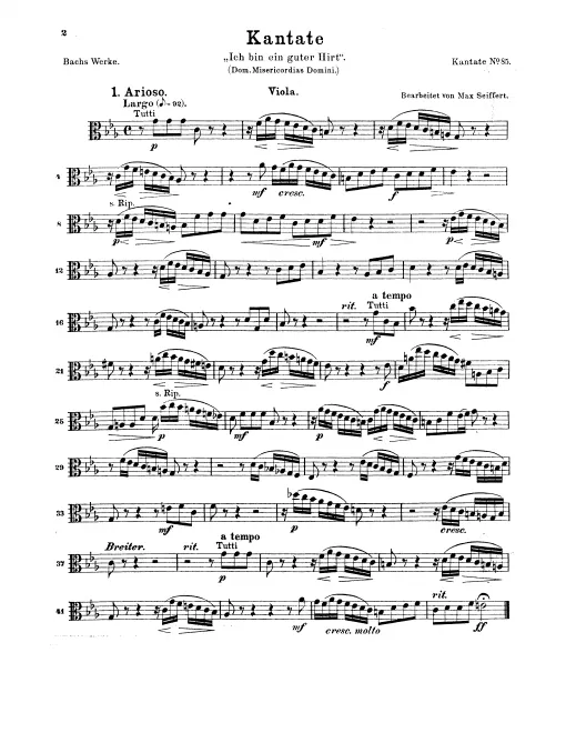 Violas