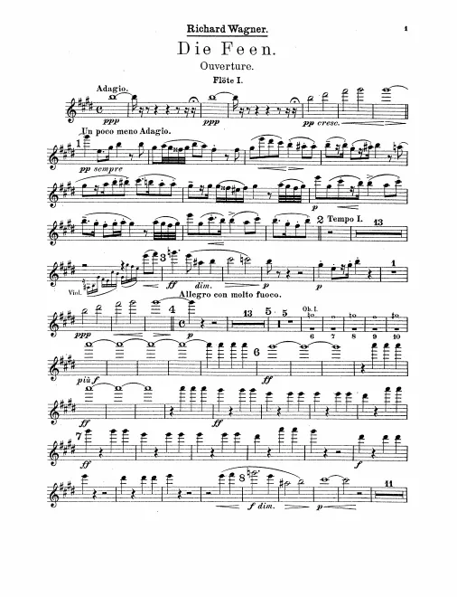 Flute 1