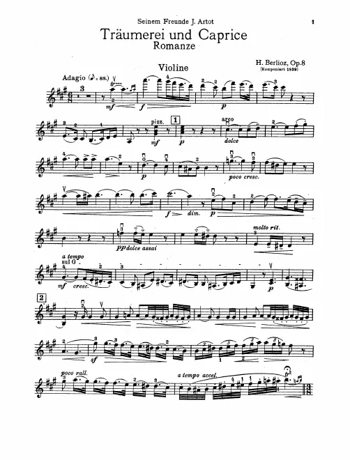 Violin Solo