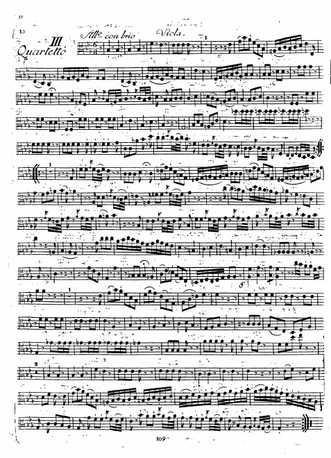 Viola
