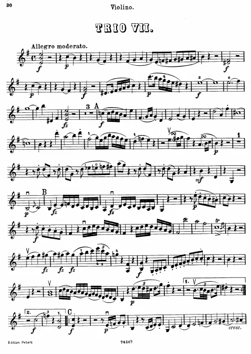 Violin