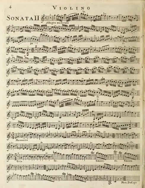 Violin