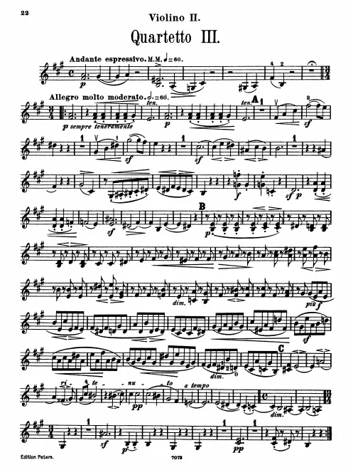 Violin 2
