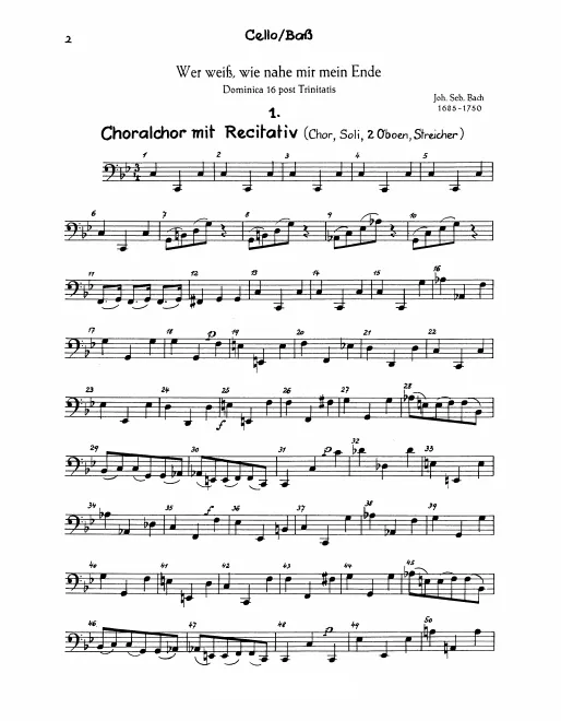 Cellos/Basses