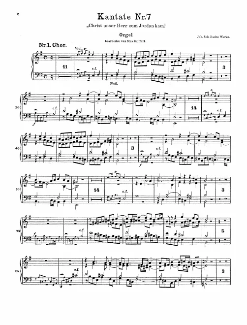 Organ