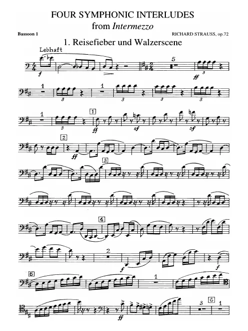 Bassoon 1