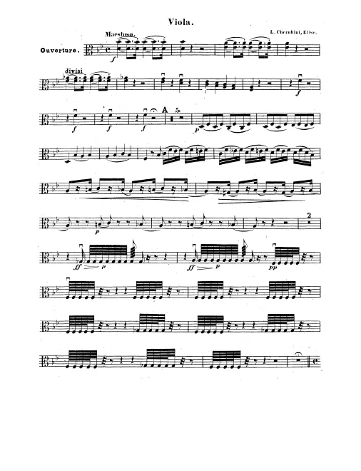 Violas
