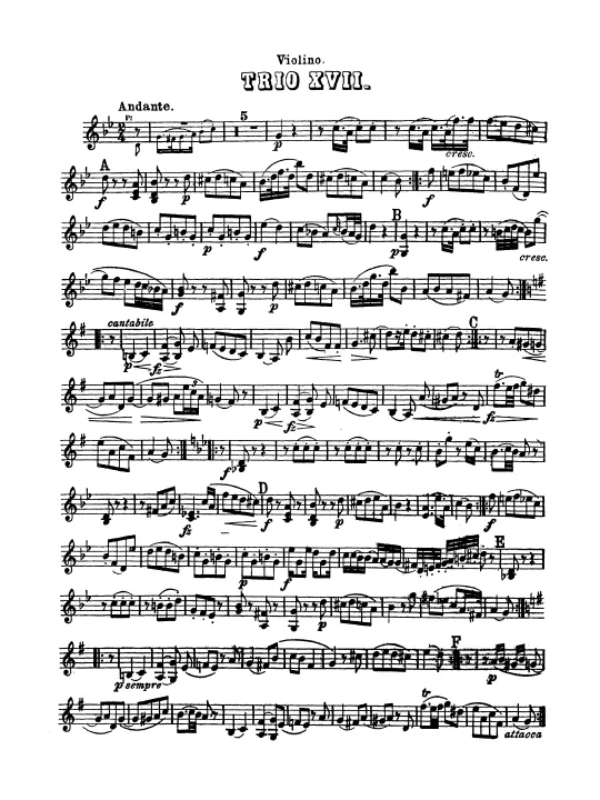 Violin