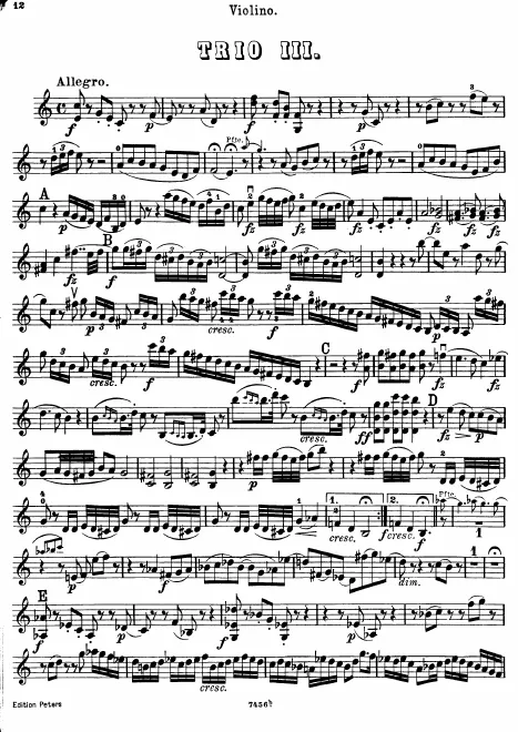 Violin