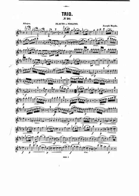 Violin