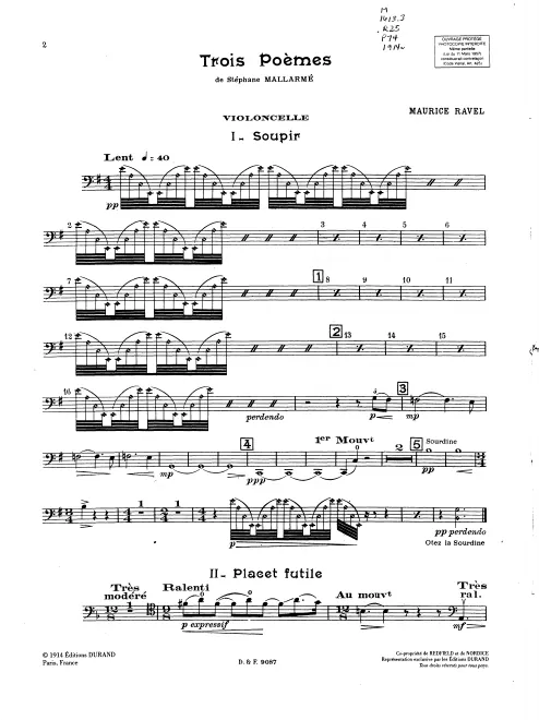 Violoncello