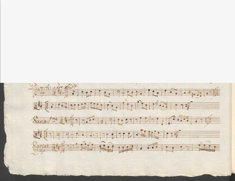 Viola