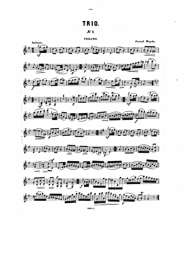Violin