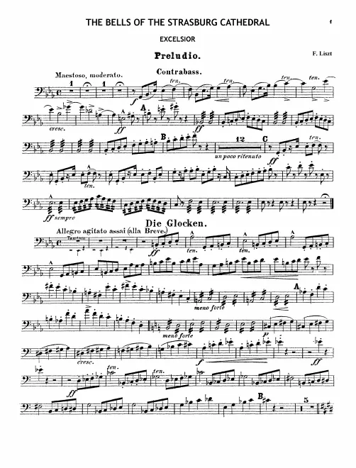 Basses