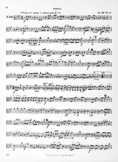 Viola