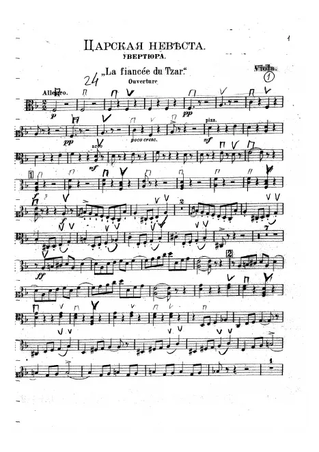 Violas