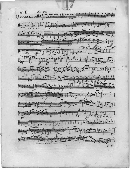 Viola