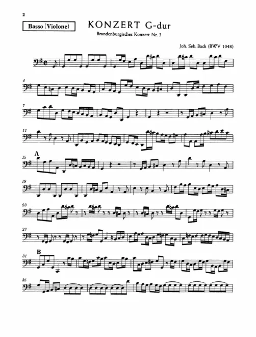 Violone (Double Bass)