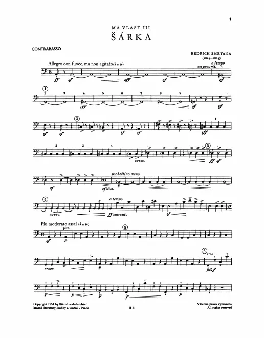Basses