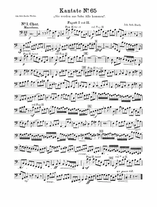 Bassoon 1/2