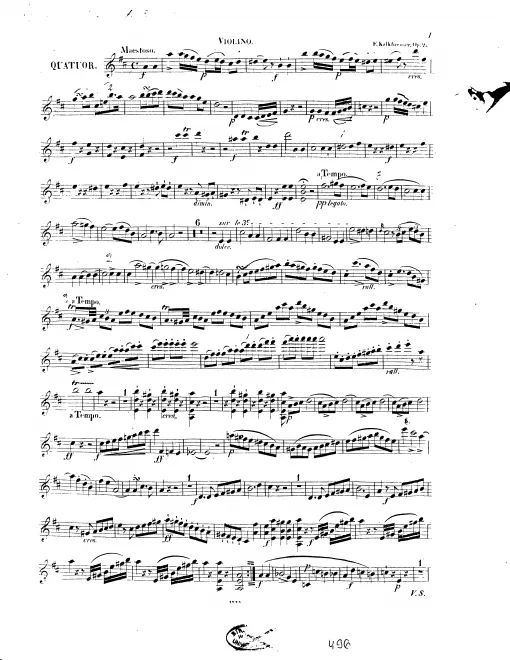 Violin