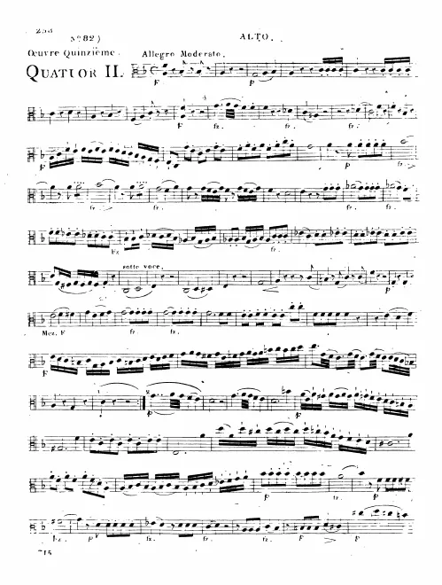 Viola