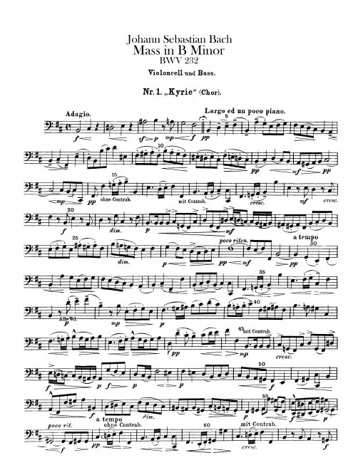 Cellos/Basses