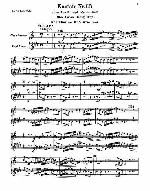 Oboe d'amore/English Horn 2