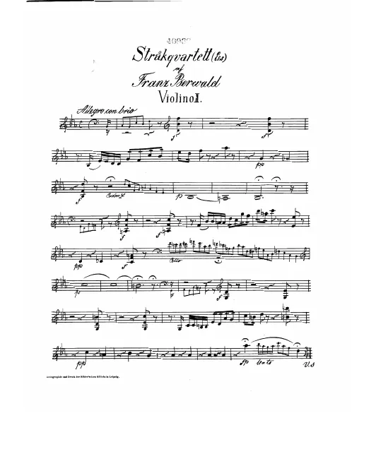 Violin 2