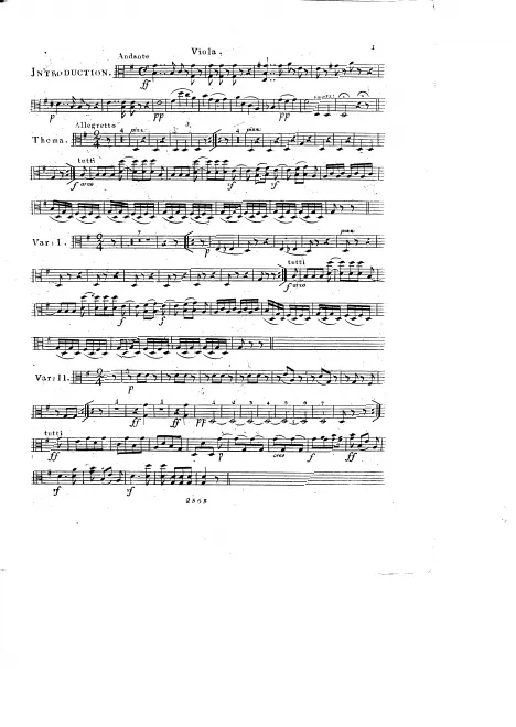 Viola
