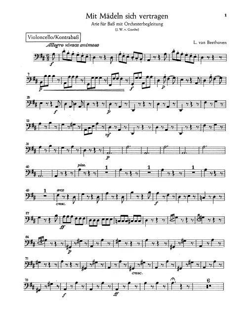 Cellos/Basses