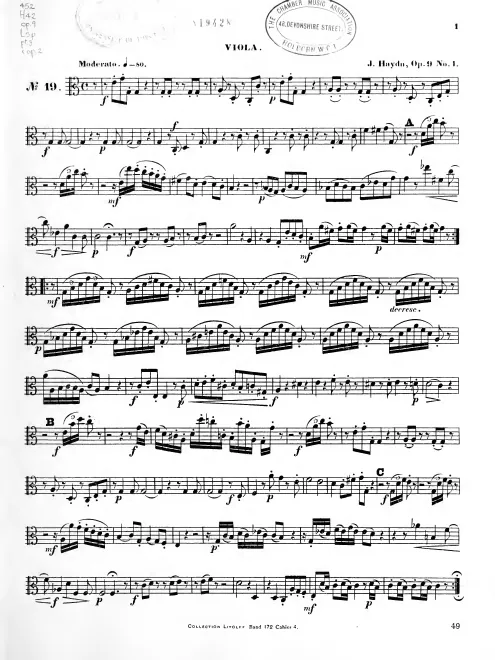 Viola