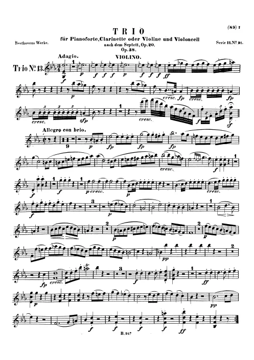 Violin