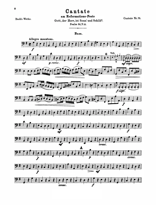 Basses